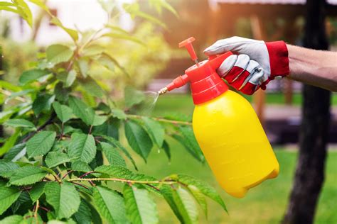 Pesticides For Plants